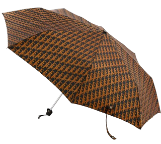クリスチャンディオール　トロッター（小物）・傘